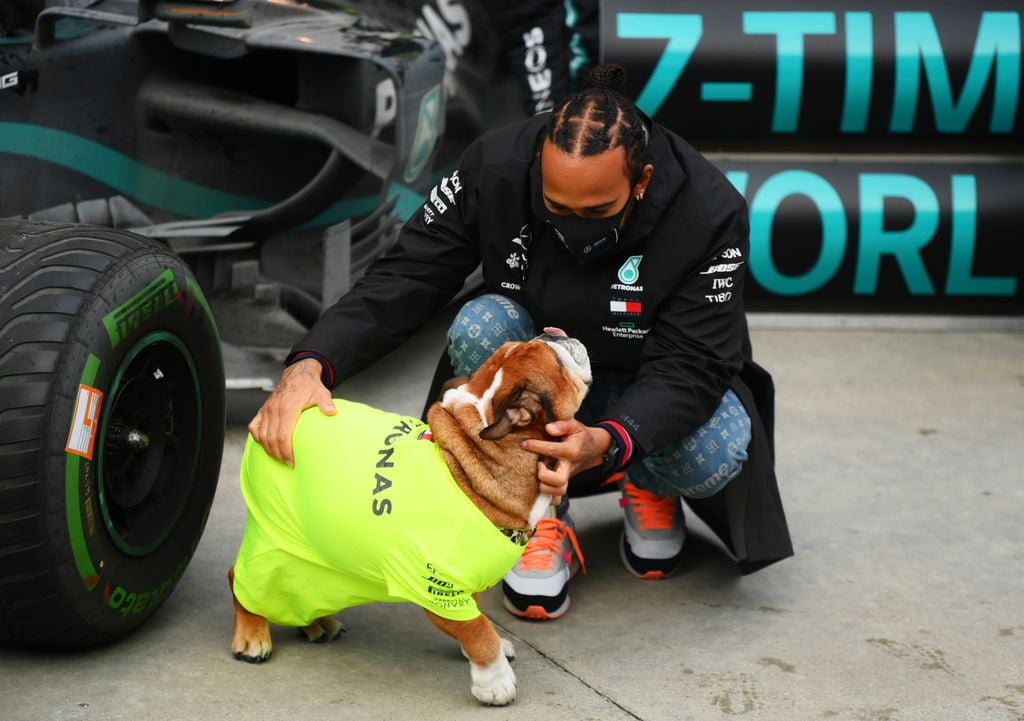 Lewis Hamilton und seine Bulldogge Roscoe, November 2020