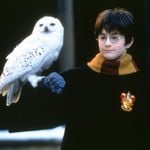 Thema Harry Potter