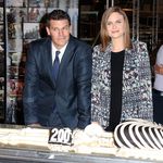 Thema Bones