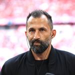 Thema Hasan Salihamidžić