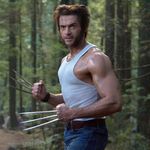 Thema Wolverine