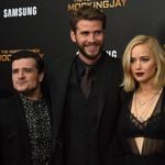 Thema Die Tribute von Panem