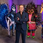 Thema The Masked Singer