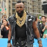 Thema Mr. T