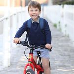 Thema Prinz Louis