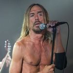 Thema Iggy Pop