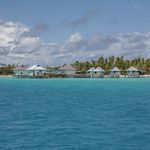 Thema Adam sucht Eva - Promis im Paradies