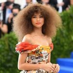 Thema Zendaya Coleman