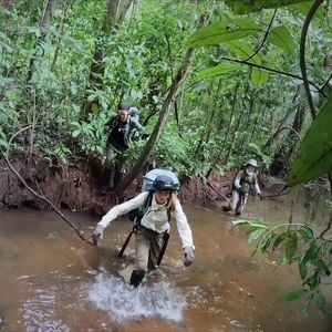 "7 vs. Wild"-Finale: Erreichen alle Teilnehmer das Ziel?