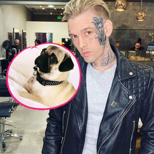 Mops in Käfig eingesperrt: Ist Aaron Carter ein Tierquäler?