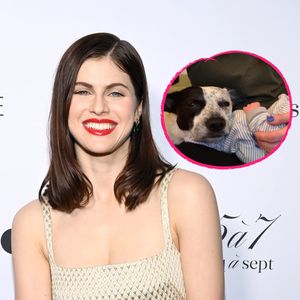 Alexandra Daddario teilt Einblicke in ihr junges Mutterglück