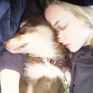 Süße Fotos: Amanda Seyfried trauert um ihren geliebten Hund