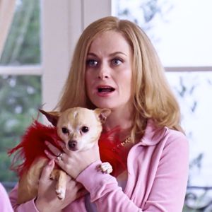 Amy Poehler zeigt erstmals ihren neuen Freund