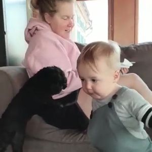 Dauer-Hunger: Amy Schumers Söhnchen und Hund randalieren!
