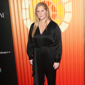 Amy Schumer braucht Hilfe wegen künstlicher Befruchtung!