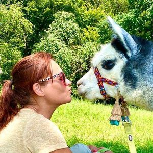 Niedlicher Alpaka-Nachwuchs bei Schlagerqueen Andrea Berg