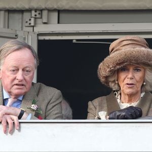 Königin Camillas Ex Andrew Parker Bowles datet Moderatorin!