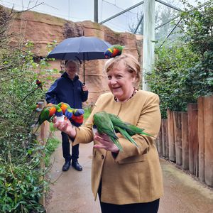 Das Netz feiert die coolen Vogel-Fotos der Bundeskanzlerin!