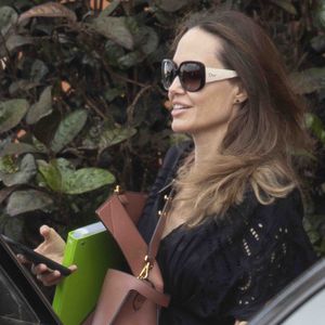 Angelina Jolie: Das frustriert sie nach Trennung von Brad