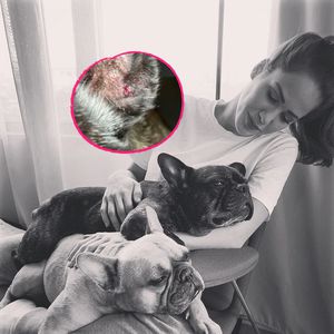 "Recht tief": Angelina Panneks Hund Louis wurde gebissen!