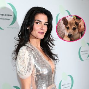 Angie Harmon trauert: Hund Oliver wurde an Ostern erschossen