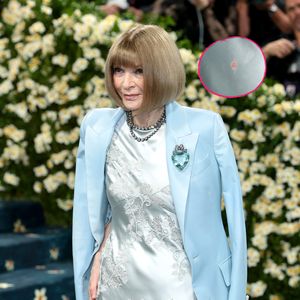 Anna Wintours Kleid auf Met Gala hatte einen roten Fleck