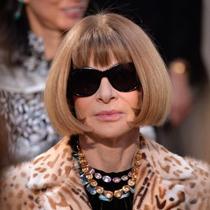 Anna Wintour gibt preis: Das ist bei der Met Gala verboten