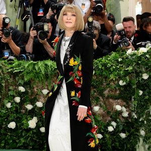 Das ist Anna Wintours Dresscode für die diesjährige Met Gala
