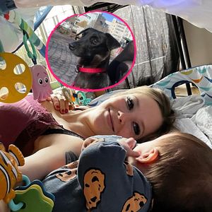 Weil sie Hund weggibt: Anne Wünsches Sohn wird Tod gewünscht