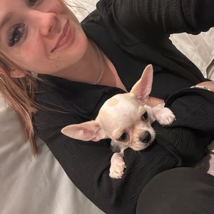 Das halten die Fans von Anne Wünsches spontanem Hundekauf