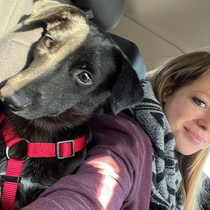 Schwangere Anne Wünsche hat einen dritten Hund adoptiert