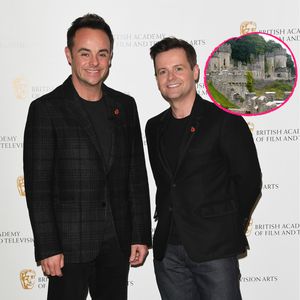Erster UK-Dschungelcamp-Trailer macht Vorfreude auf Wales