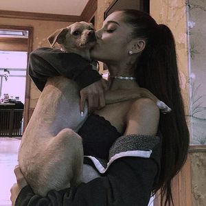 Ariana Grande ließ ihre Hunde per Privatjet einfliegen