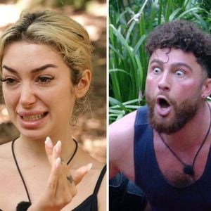 Ariel und Umuts Fake-Story: Das sagen die Dschungelbegleiter