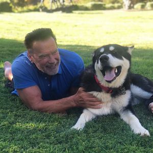 Arnold Schwarzenegger freut sich über tierischen Zuwachs
