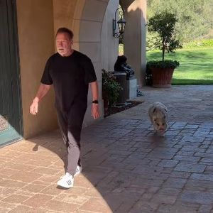 Süß: Arnold Schwarzenegger spaziert mit seinem Hausschwein!