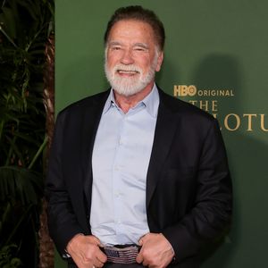 So viel verdiente Arnold Schwarzenegger mit dem Film "Twins"