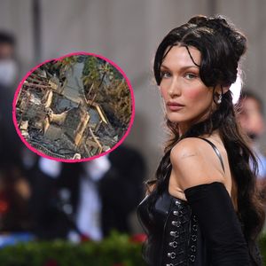 Bella Hadid trauert um niedergebranntes Familienanwesen