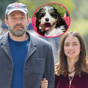 Ben Affleck und seine Ana haben sich einen Welpen zugelegt!