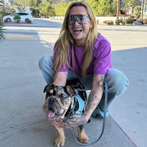 Familienzuwachs: Bill Kaulitz hat zweiten Hund adoptiert