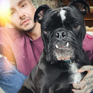 Autopsie deckt auf: Bill Kaulitz' Hund war übergewichtig