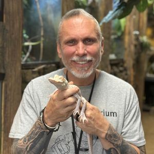 Reptilien-Star Brian Barczyk ist im Alter von 54 verstorben!