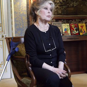 Wirre Äußerungen: Brigitte Bardot schießt gegen Ausländer