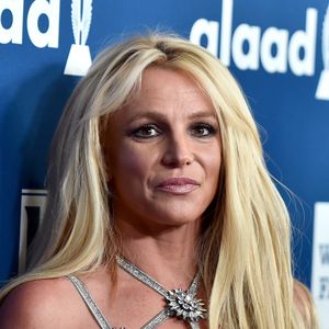 Ärger mit Tierschutz: Britney Spears' Hund beißt Radfahrer!