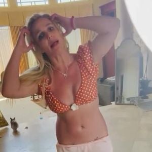 Britney Spears lebt angeblich in verdreckter Hundekot-Villa
