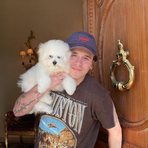 Konkurrenz: Wer ist süßer, Brooklyn Beckham oder sein Hund?