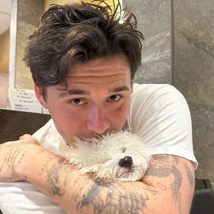 Inmitten Zoff: Brooklyn Peltz-Beckham eröffnet ein Tierheim