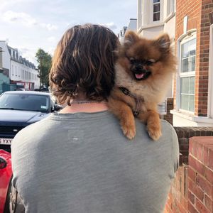 Brooklyn Beckhams Hund bekommt einen eigenen Insta-Account