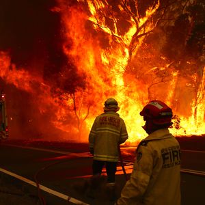 Busch-Feuer in Australien: Dschungelcamp gucken oder nicht?