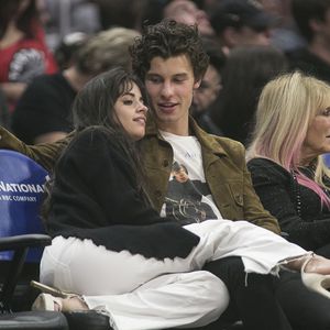 In Song mit TayTay: Hat Shawn Zeilen an Camila versteckt?